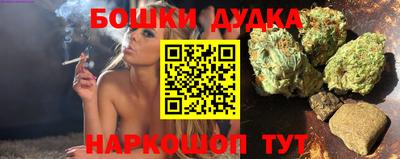индика Гусиноозёрск