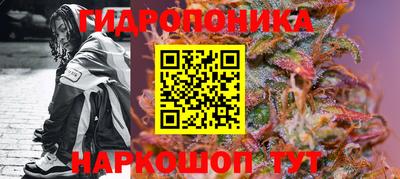 спайс Гусев