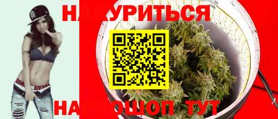 индика Гусиноозёрск